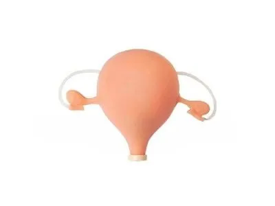 F30S Тренажер для отработки навыков гинекологического обследования