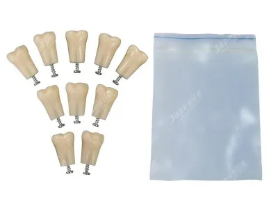 310_МУ0170_Комплект_10_модельных_зубов