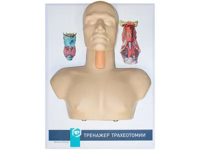 М0003 Тренажер трахеотомии