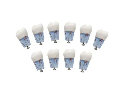 М0365 Комплект из 10 модельных зубов одного номера З-32-1.10Э