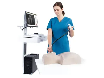 1022130 Тренажер MrTEEmothy® Expert трансэзофагеальной эхокардиографии