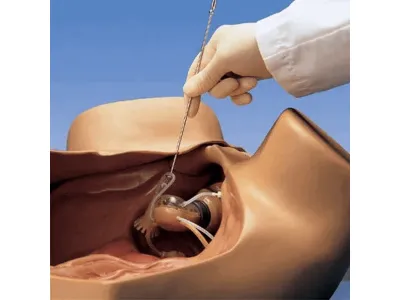 Гинекологический тренажер ZOE для исследования, лапароскопии, контрацепции_4