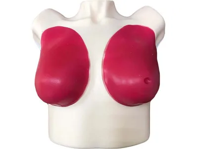 Расширенный тренажер для обследования молочных желез_1