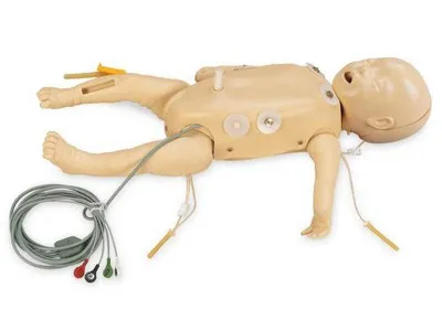 1017952 Замена кожи грудной клетки с ЭКГ для тренажера арт. 1005658