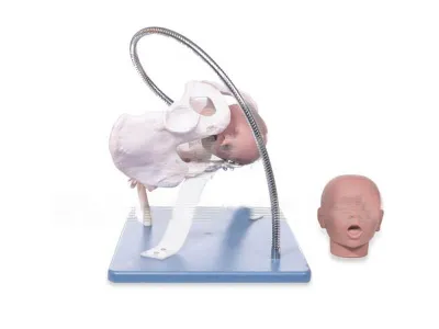 P23 Модель для демонстрации процесса родов (на подставке)