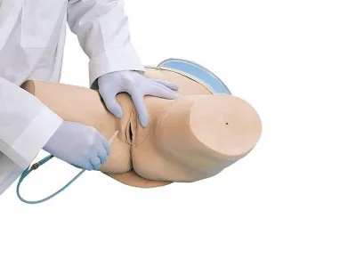 1005588 Тренажер для катетеризации женский