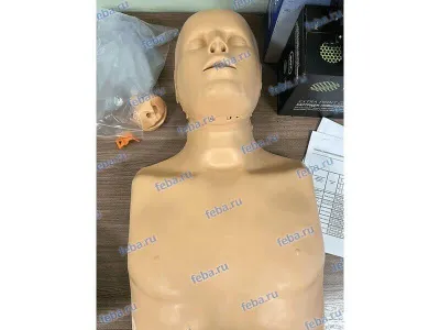ПРАКТИ-МЭН AD Манекен-торс для отработки навыков сердечно-легочной реанимации_5