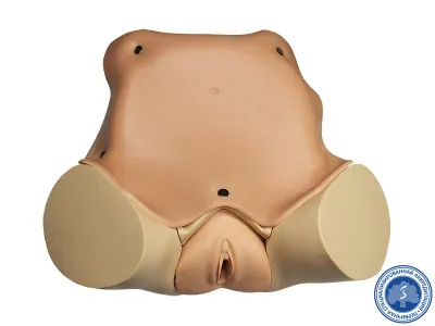 310_Тренажер_гинекологического_осмотра