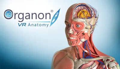 310_Програма_3D_Organon