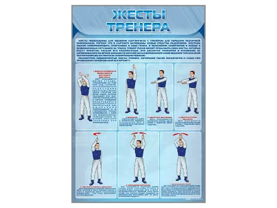 300_С2703 Стенд Жесты тренера 1