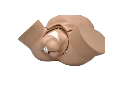 Акушерский симулятор Obstetric Susie_2