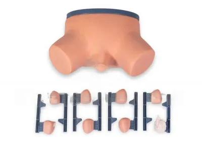 P63 Тренажер для отработки навыков обследования и массажа предстательной железы (9 сменных модулей)