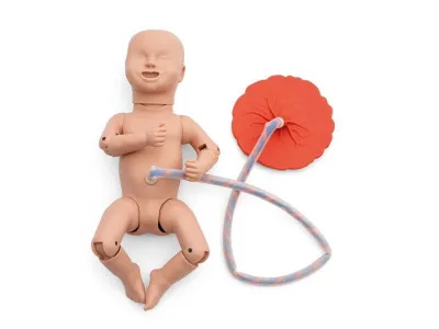 Тренажер родов, базовая версия_1