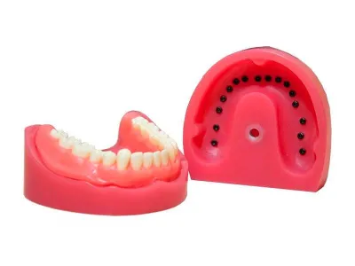 М0471 Денто-модель верхней и нижней челюсти ЧВН-32 N