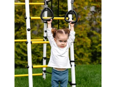 Детский спортивный комплекс для дачи ROMANA Богатырь MAX Плюс-2_4