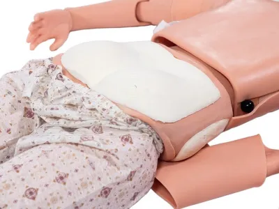 P10392 Манекен-симулятор для отработки навыков пунктирования костного мозга и сестринского ухода