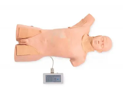 P10043 Манекен-симулятор для отработки навыков пальпаторного обследования лимфатических узлов с электронным контроллером ВОЛОДЯ-ЛИМФ