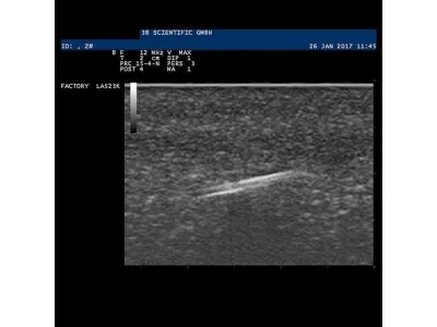 1019636 Модель инородного тела SONOtrain™ для УЗИ