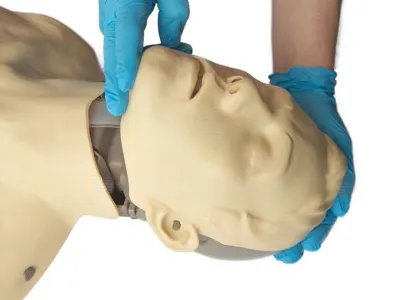 Тренажер Брюс для обучения СЛР  -  голова