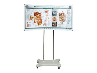 МУ0019 Лабораторно-диагностический учебный комплекс «Желудочно-кишечный тракт»