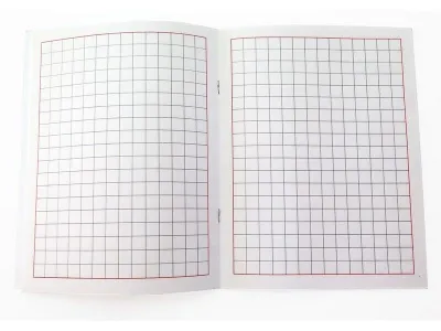 Тетрадь для слабовидящих в крупную клетку