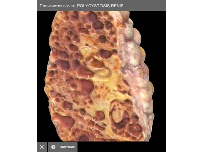 310_Интерактивная_панель_5