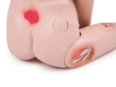 1018817 Базовый манекен для ухода за пациентами 3B Scientific®