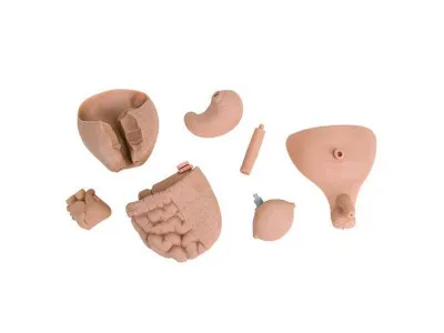 1000505 Манекен ребенка для обучения процедурам ухода, новорожденный