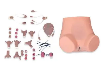 КОЛЬПО-СИМ Тренажер гинекологических обследований и кольпоскопии