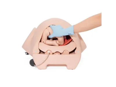 Тренажер родов, продвинутая версия_2