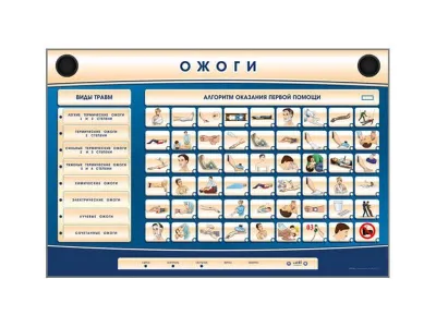 Трехсекционный базовый комплект «Травмы, Кровотечения, Ожоги»_1