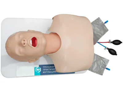 М0002 Тренажер для отработки практических навыков интубации ТПИ-1.01
