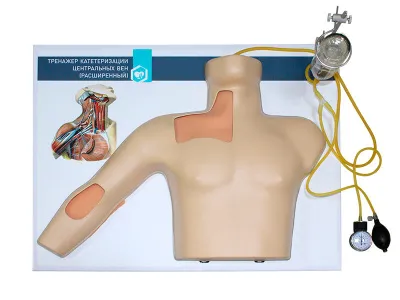 М0004 Тренажер катетеризации центральных вен