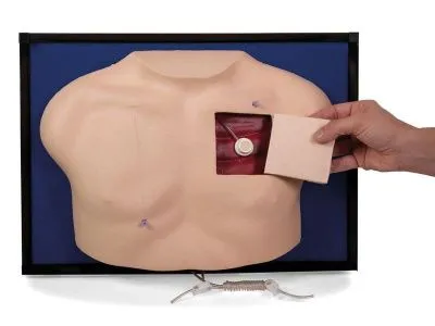 Модель класса «люкс» для венозного доступа_1