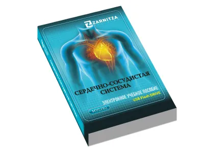 310_Сердечно_сосудистая_система