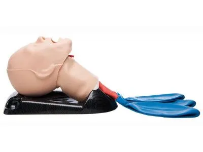 1021921 Универсальный тренажер AirSim Combo X для интубации