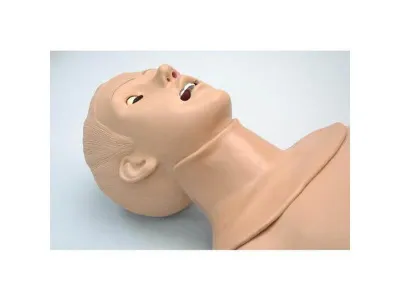 1019856 Усовершенствованный тренажер для отработки навыков действий на дыхательных путях взрослого человека 110/220 В