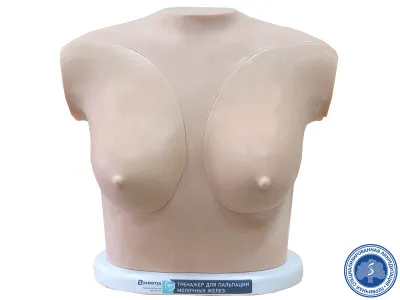310_Тренажер_молочных_желез