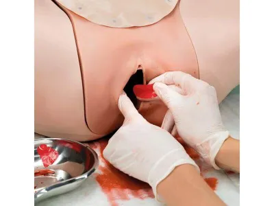 1021568 Тренажер остановки послеродового кровотечения