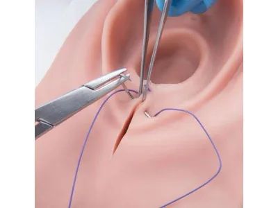 1019639 Акушерский тренажер эпизиотомии и наложения швов