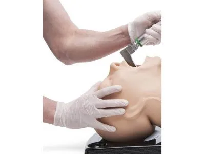 1015530 Модель AirSim Advanced для интубации с разветвленной бронхиальной сетью