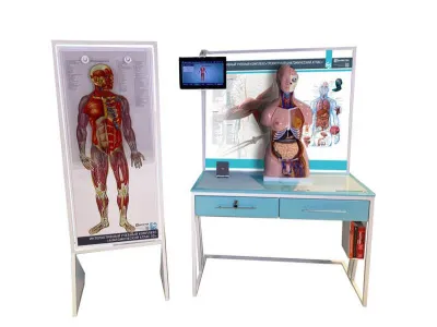 Интерактивный учебный комплекс «Анатомический атлас 3D»