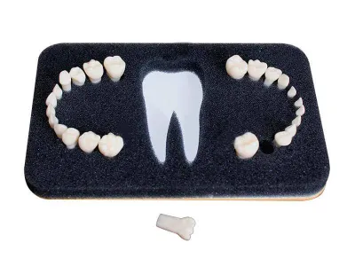 МУ0209 Комплект сменных зубов З-24