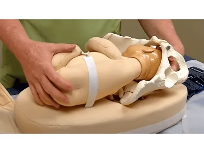 Модель для пальпации, маневр Леопольда_1