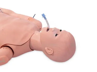 P10392 Манекен-симулятор для отработки навыков пунктирования костного мозга и сестринского ухода