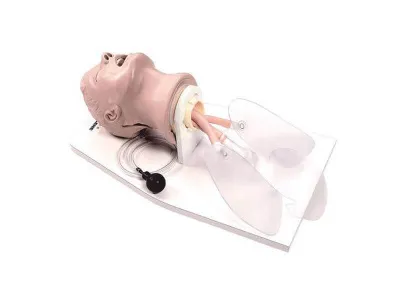 Тренажер для отработки интубации, голова