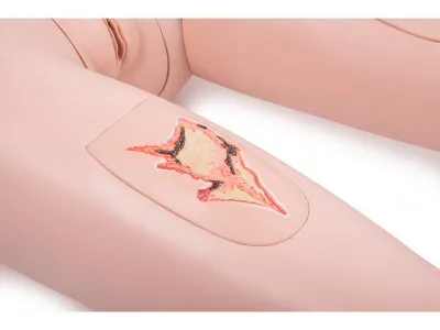 1018817 Базовый манекен для ухода за пациентами 3B Scientific®