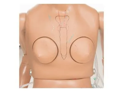 1017543 Тренажер неотложной помощи CPR SUSIE® для ухода за пациентом и реанимации