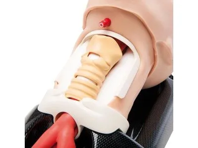 1021921 Универсальный тренажер AirSim Combo X для интубации