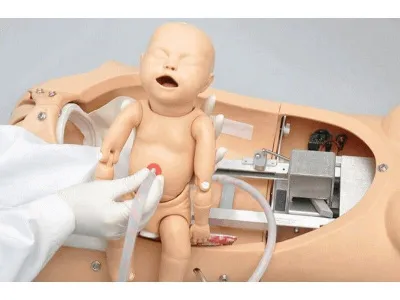 NOELLE® родовый симулятор (торс без СЛР)_2